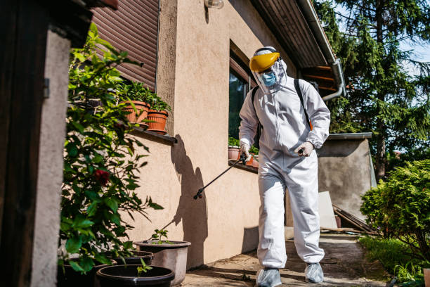 Flea Control Services in Corcoran, CA