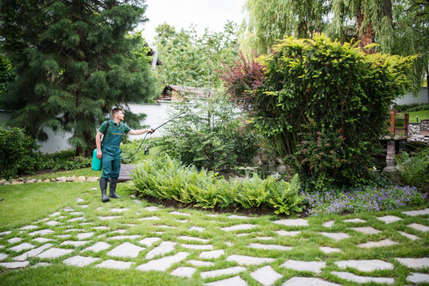 Trusted Corcoran, CA Pest Control Experts