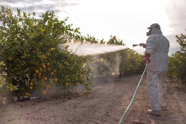 Best Pest Prevention Services  in Corcoran, CA